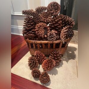 FRESH GEORGIA PINE CONES 10Pk